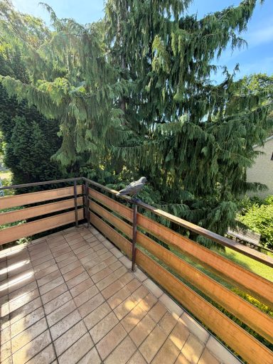 Balkon DG